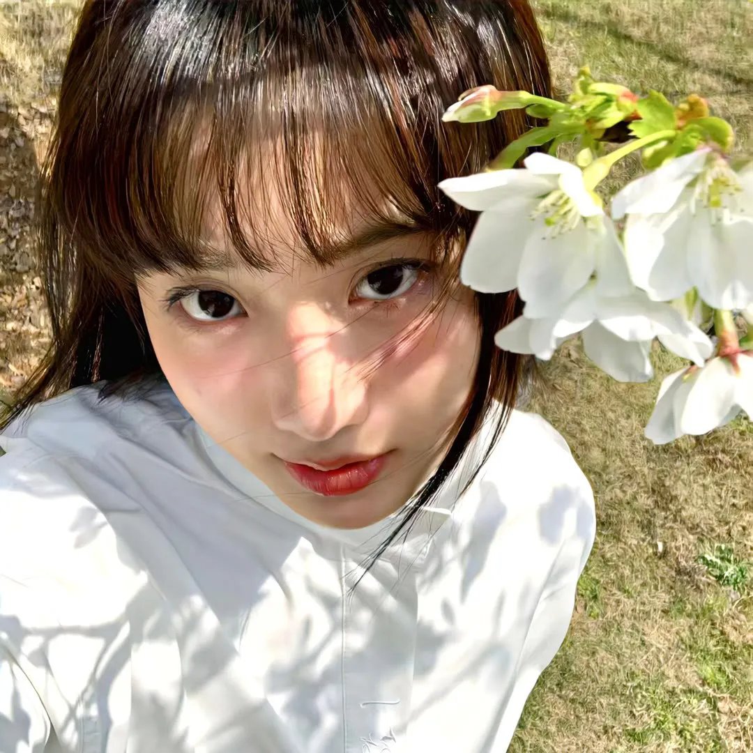阿加莎与谋杀的真谛